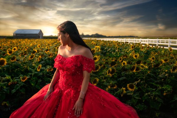 young woman in a field of sunflowers from Baltimore Personal Branding Photographer Don Willett